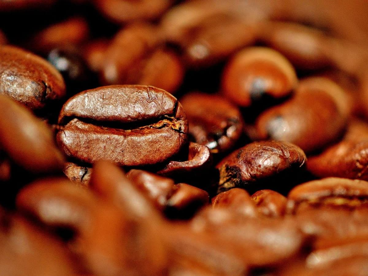 Macro de granos de café tostado